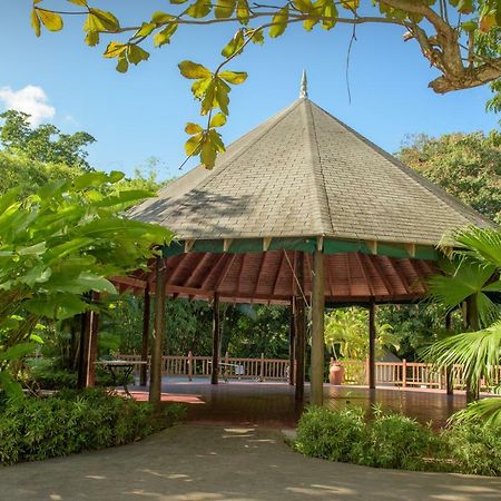Tropical Escape Villa Очо Риос Екстериор снимка